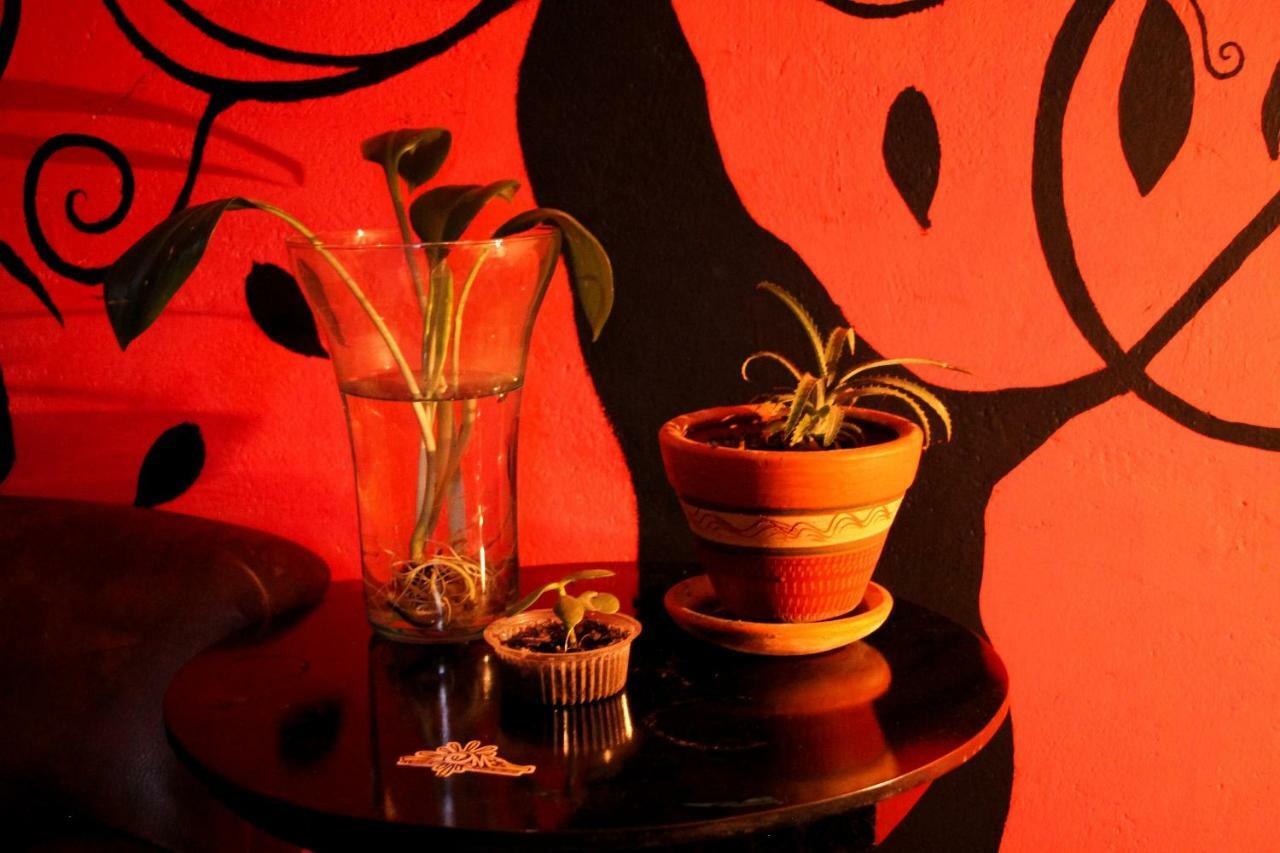 Hostal Musica Y Arte San Agustin  Exterior photo